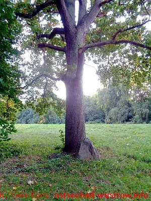 Fritz-Reuter Eiche und Stein