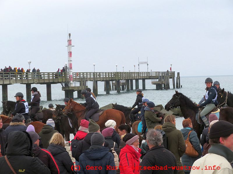 Osterrennen Wustrow Sammeln der Pferde an der Seebrücke