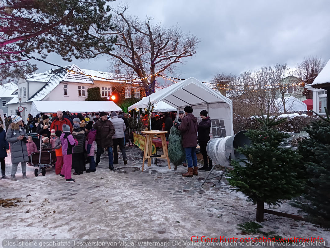 Weihnachtsmarkt Ostseebad Wustrow - Tannenbaumverkauf am Eingang