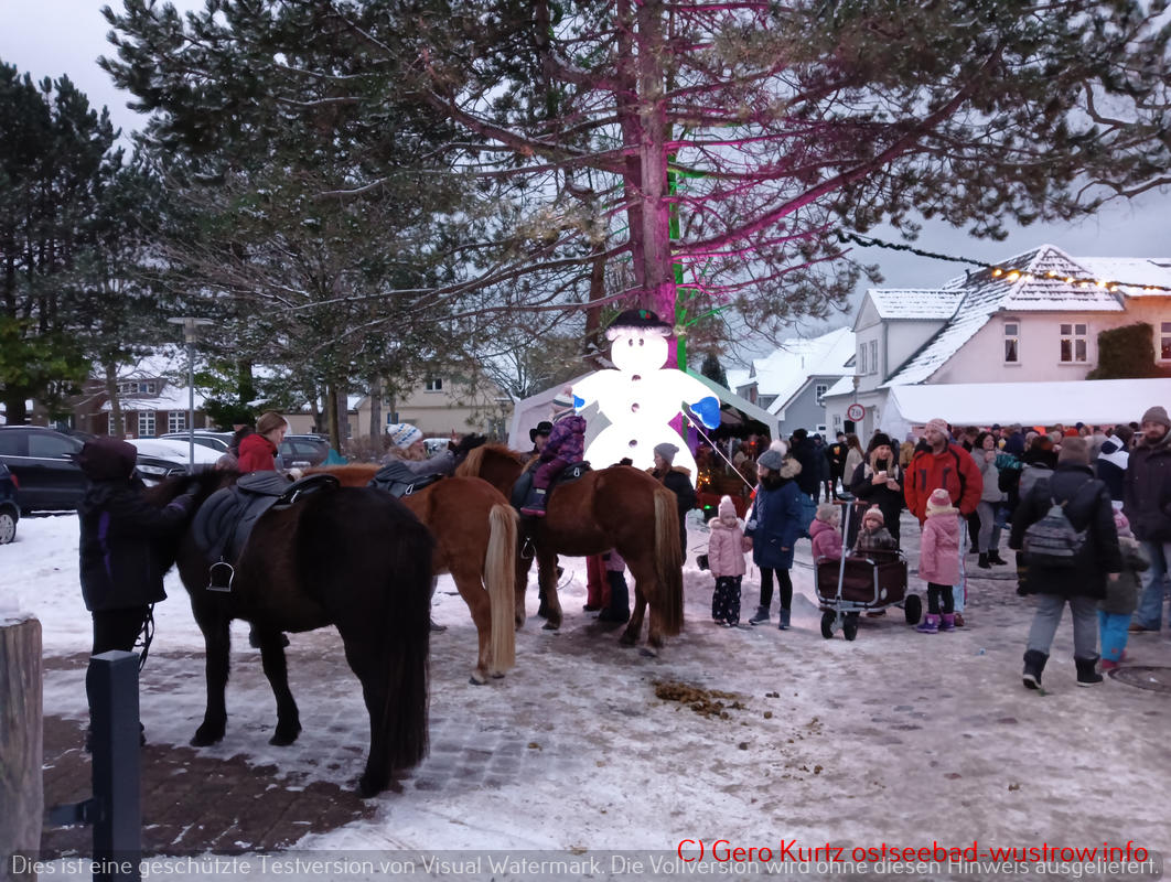 Weihnachtsmarkt Ostseebad Wustrow - Ponyreiten